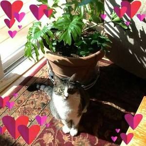 Meet your Posher, Dale